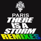 There Is a Storm (Remixes) artwork