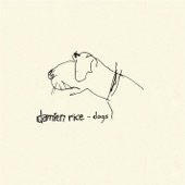 Damien Rice - Dogs - Remix