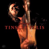 The Best of Tinsley Ellis artwork