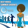 Transport Recordings Presents Deep House Summer Grooves