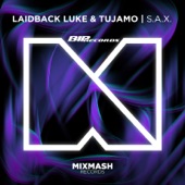 Laidback Luke - S.A.X. (Radio Edit)