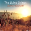 The Living Strings & Johnny Douglas - Moonlight Cocktail