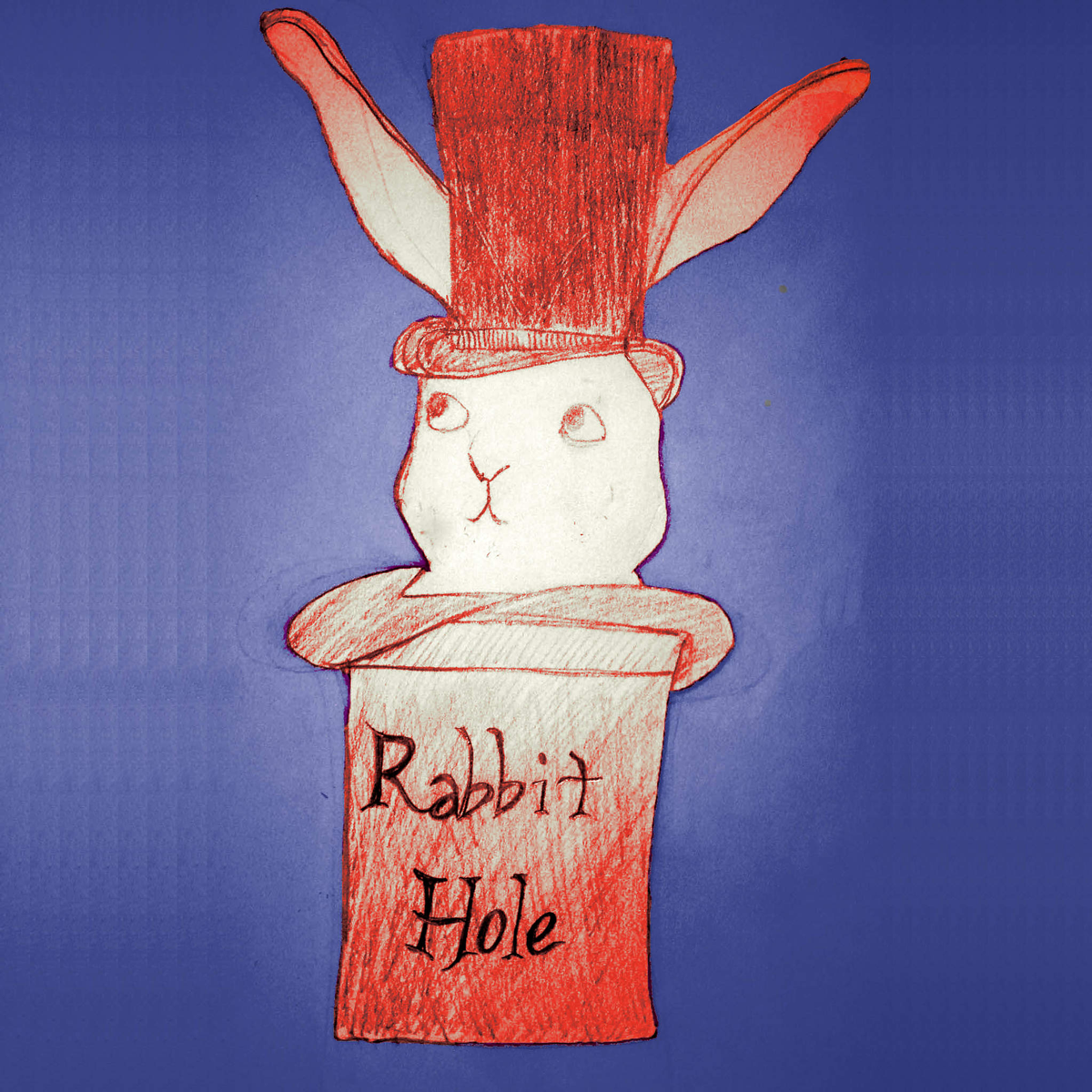 Раббит хол. Rabbit hole. The Rabbit hole картинки. Кролик и дыра. Аватарка Rabbit hole.