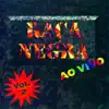 Raça Negra (Ao Vivo), Vol. 2 album lyrics, reviews, download