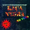 Raça Negra (Ao Vivo), Vol. 2, 1995