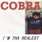 Quad Hustlin' - Cobra lyrics