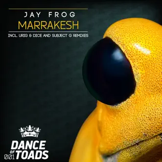 Marrakesh (Urig & Dice Remix) by Jay Frog song reviws