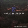 Joost Theodorus - Bin In This Desert