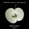 Wildjoy - Temporary Hero & Jason Walker lyrics