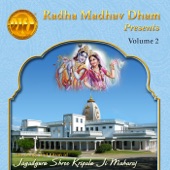 Devotional Songs and Kirtans of Jagadguru Shree Kripalu Ji Maharaj Volume 2 artwork
