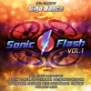 Sonic Flash, Vol. 1, 2015