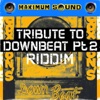 Tribute To Downbeat Riddim, Pt. 2 - EP