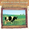 Pickin' On Pink Floyd: A Bluegrass Tribute