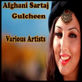Afghani Sartaj Gulcheen, Vol. 18 artwork