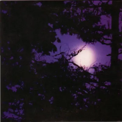Every Silent Moment I Weep - Single - Autumnblaze