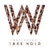 Take Hold - Single