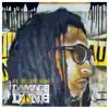 Damage Is Done album lyrics, reviews, download