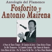 Antología del Flamenco: Fosforito y Antonio Mairena artwork