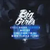 Big Girls (Feat. Ying Yang Twins & Waka Flocka Flame) - Single (Tell Daddy Rework) album lyrics, reviews, download