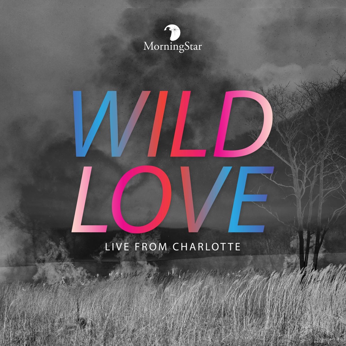 Loving wild. Morning Star песня. Morning Star. Wild Love. Up Live отзывы.