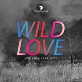 Wild Love (Live) artwork