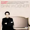 Schubert & Mazzoli album lyrics, reviews, download