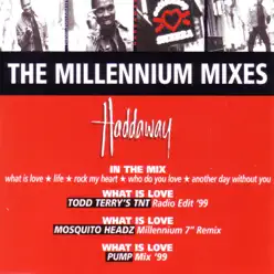 The Millenium Mixes - EP - Haddaway