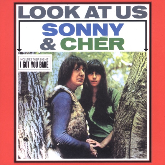 Cover artwork for I Got You Babe (Single Version)