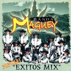 Popurrí Éxitos Mix - Banda Maguey