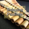 Relaxing Panflute, 2014