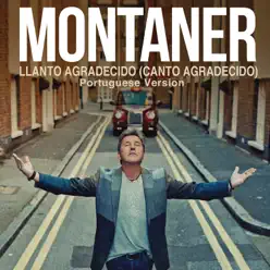 Llanto Agradecido (Canto Agradecido) [Portuguese Version] - Single - Ricardo Montaner