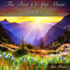 The Best of 2015 - Spa Music