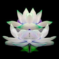 Tvドラマ主題歌を探せ 近キョリ恋愛 Season Zero 使用曲