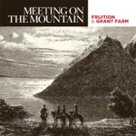 Fruition & Grant Farm - Meet Me On the Mountain
