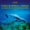La Llamada de la Ballena Azul - Thors lyrics