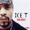 Ice-T - I'm Your Pusher