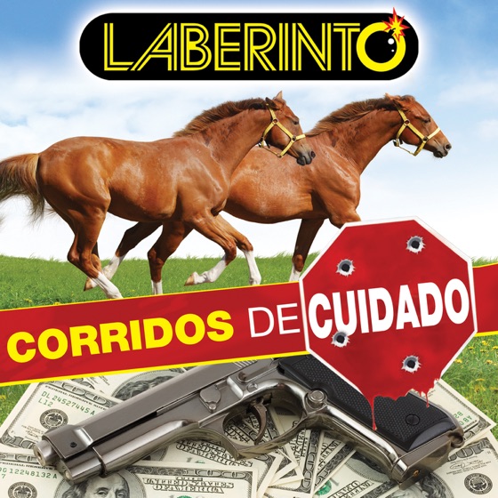 Cover artwork for Rafa y Su Primo