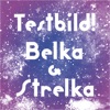 Belka & Strelka, 2015