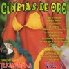 Cumbias De Oro Vol. 3