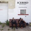 Going and Going. and Going. (feat. RJD2 & Aaron Livingston) - Single