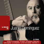 Lo Mejor de Juanjo Domínguez (feat. El Trébol Mercedino, Roberto Galarza, Rudi Flores, Nini Flores, Domingo Cura & Julio Pane) - Juanjo Domínguez