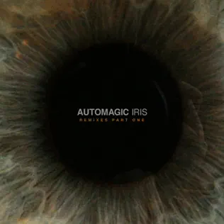 télécharger l'album Automagic - Iris