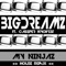 My Ninjaz (House Remix) [feat. Cassper Nyovest] - Big Dreamz lyrics