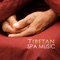 Mindfulness Meditations - Spa Music Tibet lyrics