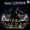 Tera Thumka (feat. Kaos Productions) - Single album lyrics, reviews, download