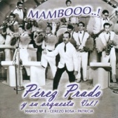 Mambo No. 5 artwork