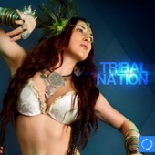 The Tribal Anthem, Pt. I (Monster Mix) artwork