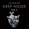 De Rerum Deep House, Vol. 5