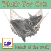 Music for Cats - Breeds of the World artwork