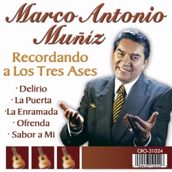 Marco Antonio Muñiz - Estoy Perdido
